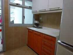 Blk 195B The Periwinkle (Punggol), HDB 4 Rooms #639490311
